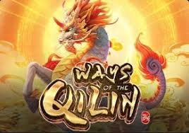 qqnusa